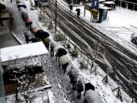 20160119_東京都_強い冬型の低気圧_積雪_大雪_1154_DSC00006T