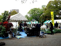 20150419_船橋市_緑と花のジャンボ市_天沼弁天池公園_0913_DSC00119