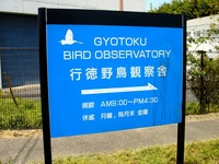 20070430_市川市_千葉県行徳野鳥観測舎_1209_DSC02162