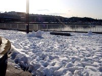 20140209_関東に大雪_千葉県船橋市南船橋地区_1548_DSC04607