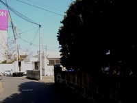 20120128_船橋市海神3_けんてつストア_日本建鐵_1117_DSC01242