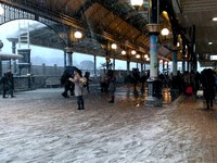 20140208_浦安市舞浜_東京ディズニーリゾート_大雪_018