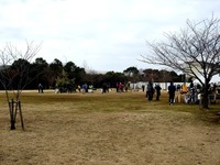 20140112_習志野市袖ケ浦西近隣公園_どんと焼き_0958_DSC00095