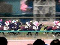 20160306_船橋市古作1_JRA中山競馬_藤田菜七子_1625_47070