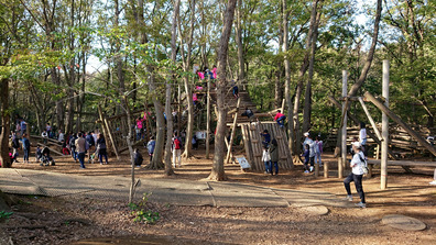 20191110_1411_ふなばしアンデルセン公園_DSC00826W