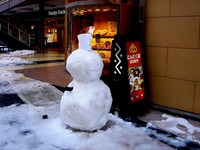 20140209_関東に大雪_千葉県船橋市南船橋地区_1525_DSC04543