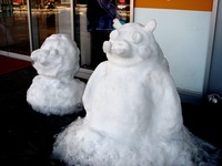 20140209_関東に大雪_千葉県船橋市南船橋地区_1513_DSC04473