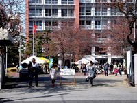 20140329_習志野市泉町1_日本大学_観桜会_1425_DSC01285