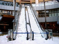 20140209_関東に大雪_千葉県船橋市南船橋地区_1527_DSC04554