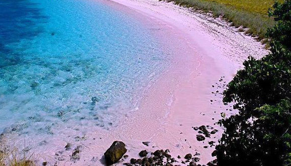 pink_beach