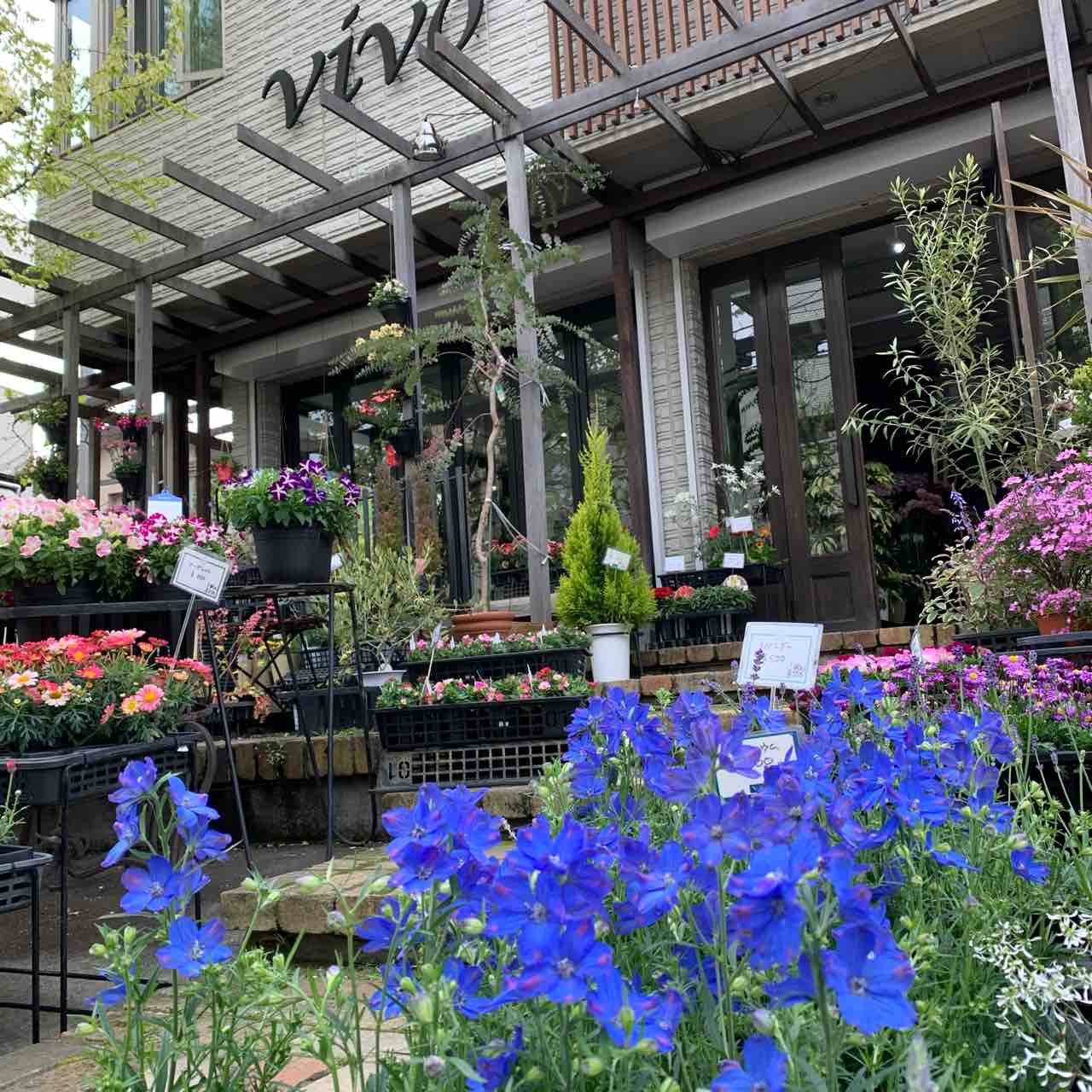 Vivo洋光台本店 Vivoブログ 横浜南の丘スタイルを提案する花と緑の専門店