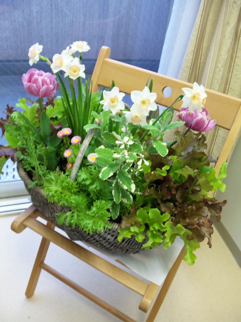 まなびｎｏｂａ講座 花と野菜のコンテナガーデン Vivoブログ 横浜南の丘スタイルを提案する花と緑の専門店