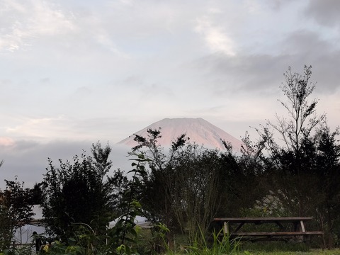 IMG20241011165915