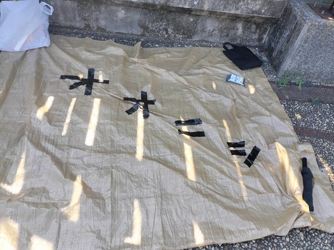 IMG20240803144356