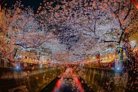 0ded8ca91905e7a8670f1f50a9d63f50_s