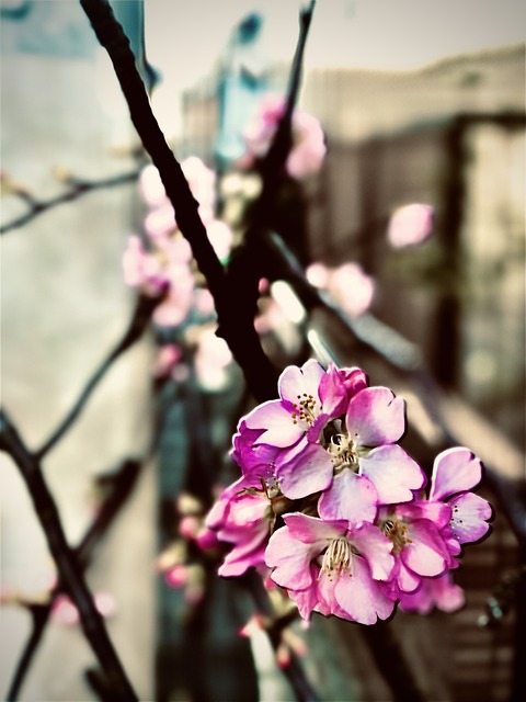 96044363-172D-4E7A-9D0F-18B1E7E77280