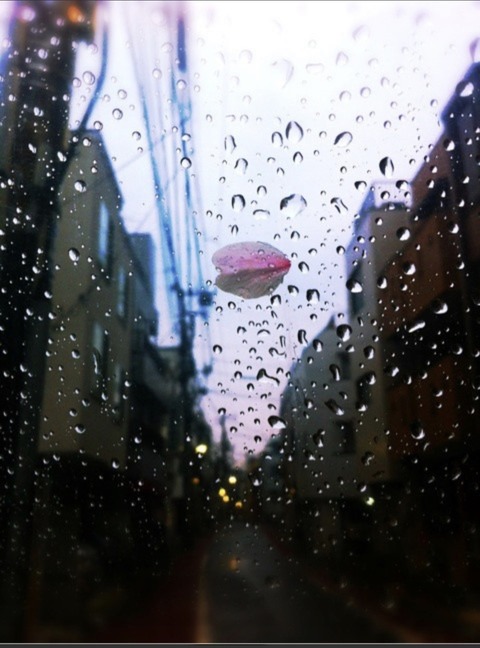 38878065-16EE-4A33-A546-9DEB4E52D15A