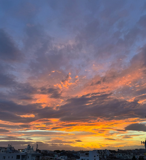 0A5951A2-52BB-4A3D-ACA8-CF4605C98BE9