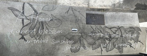 D6C8142B-DC8A-4C55-B32A-D4E2EEE31F74