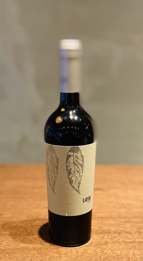 D4963B78-3DF7-411D-8EB3-C5AAFCACCE57