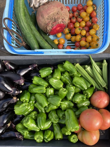 ��ī�κڱ����