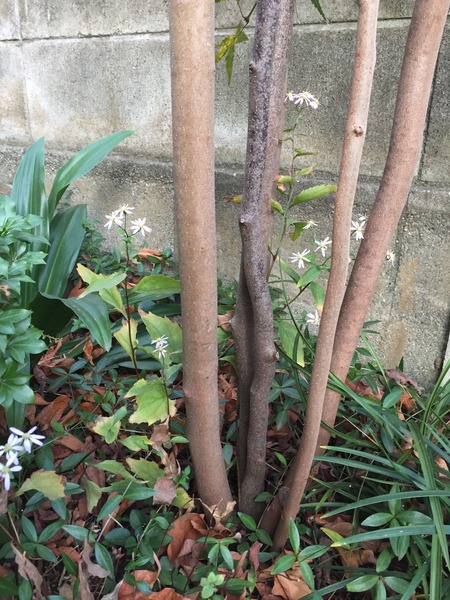 AC4E2668-82F3-4312-9E67-6AF332685A23