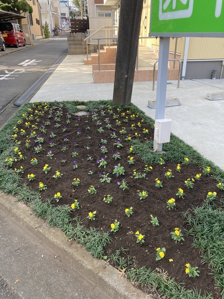 �����λ��ʥӥ������