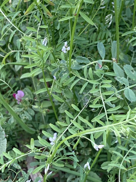 ���饹�Υ���ɥ��ȥ�����Υ���ɥ�