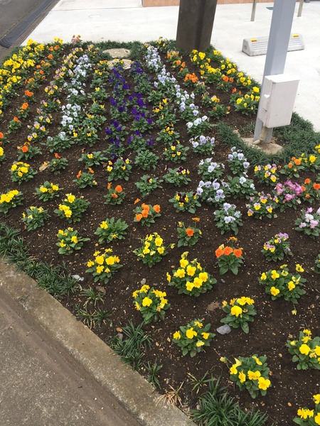 975D5349-DEF2-4FD2-BE1E-CCFE2A1BBCE6