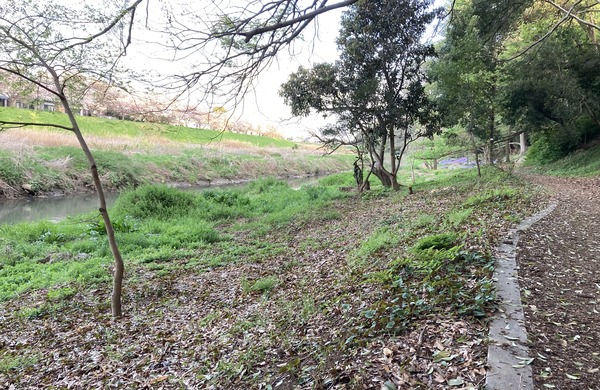 ���ϴ����ƻ