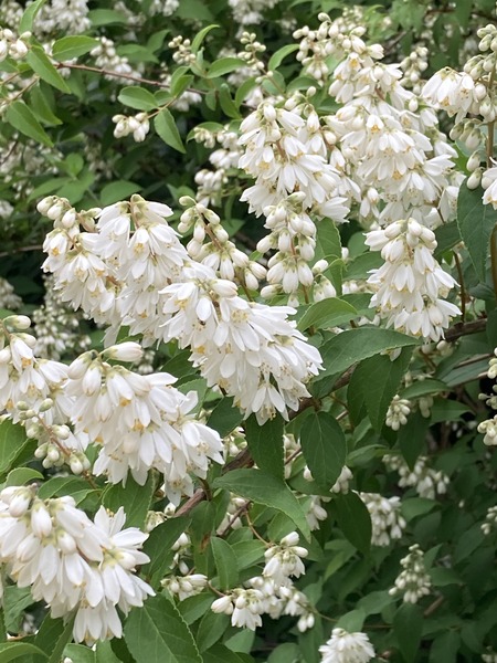 ��Ťα��β�