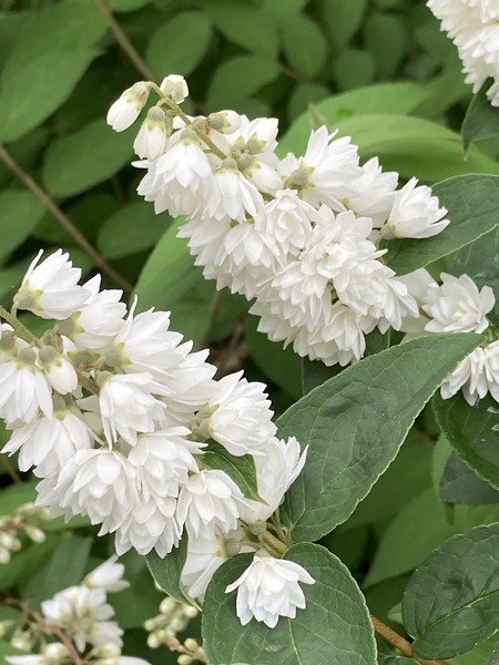 Ȭ�Ťα��β�