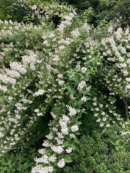 ��Ťα��β֤���