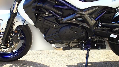 フロントスプロケットカバー装着 : vmichiとGladius400