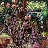 A1SeMi3lM9L._AC_UL320_