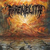 91PF4WRYA6L._AC_UL320_