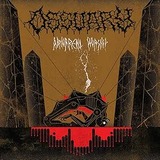 81W+Ups7XEL._AC_SY300_SX300_QL70_ML2_