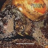 71-Z0PratKL._AC_UL320_