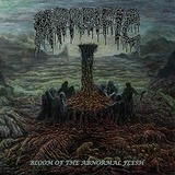 91uw0EWpHfL._AC_UL320_