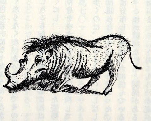 img195~2
