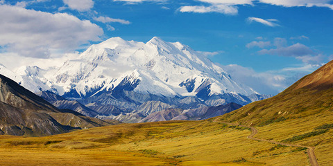 denali-National-Park