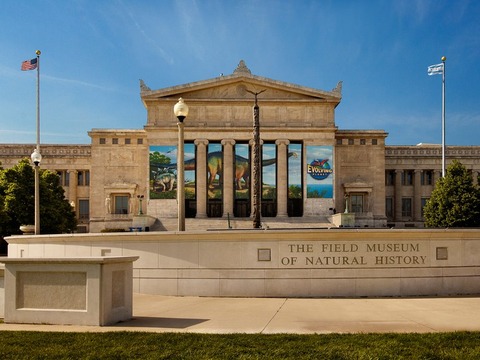 ve-may-bay-di-chicago (1)
