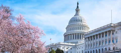 ve-may-bay-di-washington (1)