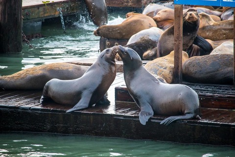 trai-nghiem-8-dieu-trong-lan-dau-tien-den-san-francisco (2)
