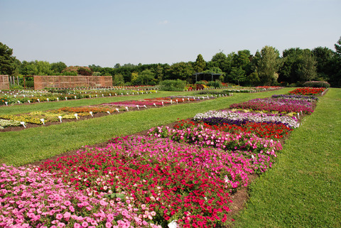 ve-may-bay-di-raleigh-bac-carolina-27 ve-may-bay-di-raleigh-bac-carolina-27