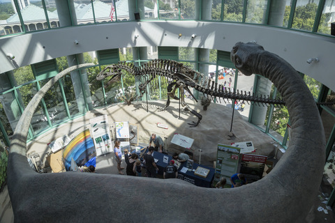 ve-may-bay-di-raleigh-bac-carolina-9 ve-may-bay-di-raleigh-bac-carolina-9