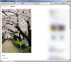 �ѥ������_������