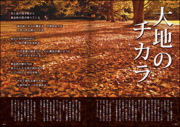Echigo BIJIN誌面