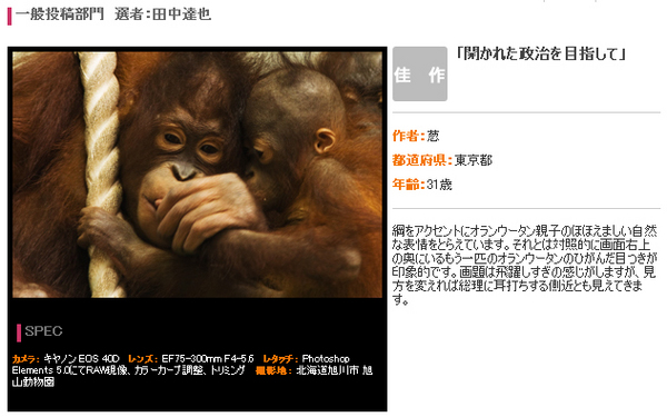 200811デジカメマガジン