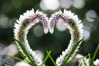 01_������